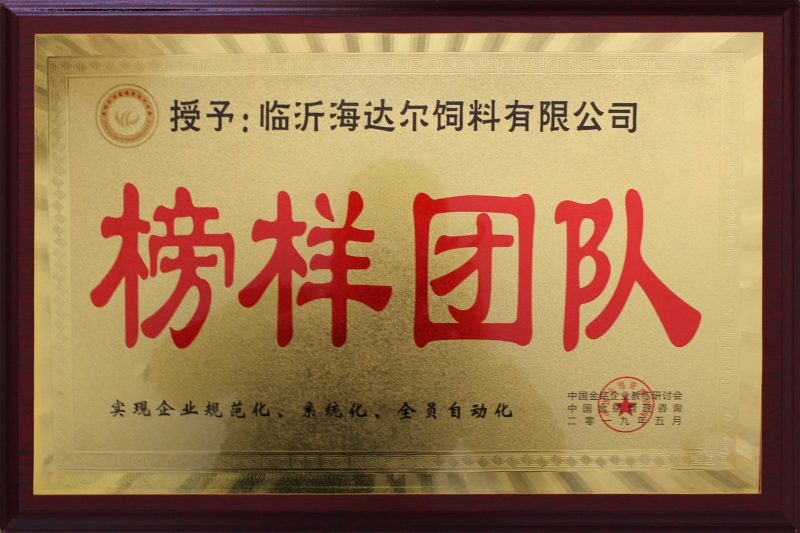 榜樣團(tuán)隊(duì)